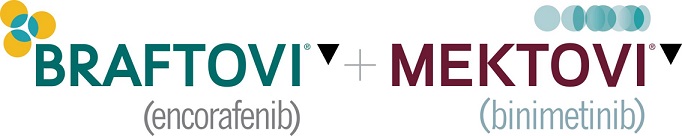 BRAFTOVI MEKTOVI logo
