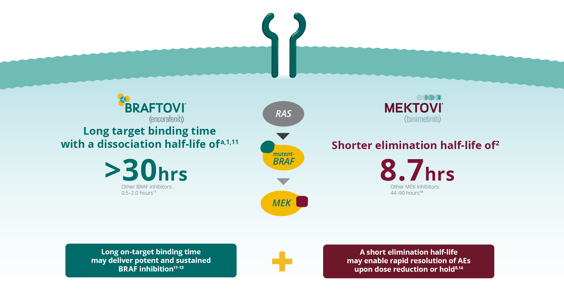 Allow powerful and sustained target suppression